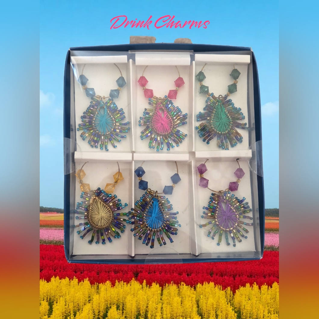Pier 1 Importd Set Of 6 Drink Charms New
